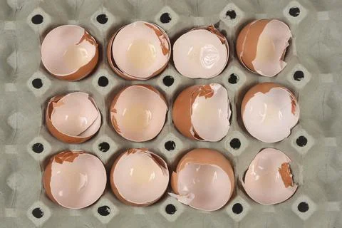 Broken Brown Eggshells in Egg Carton Tray 스톡 사진