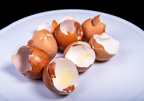 Broken Brown eggshells ion a white board with a black bacground in a studio Stock Photos