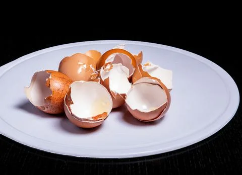 Broken Brown eggshells ion a white board with a black bacground in a studio Stock Photos