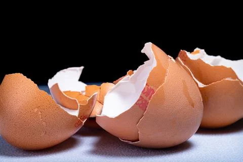 Broken Brown eggshells in a studio Stock Photos