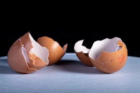 Broken Brown eggshells in a studio Stock Photos