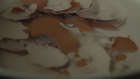 Broken brown eggshells on white plate close up Stock Footage 326440442