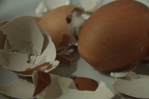 Broken Brown Eggshells On White Plate In Kitchen Stock Photos