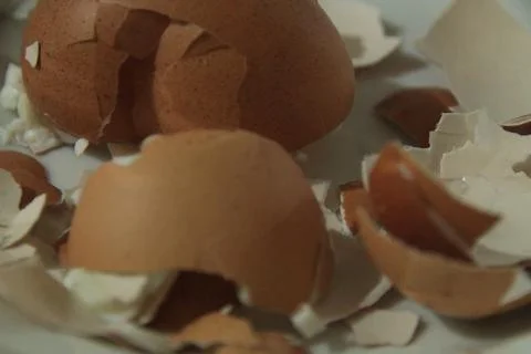 Broken Brown Eggshells On White Plate Close Up Stock Photos