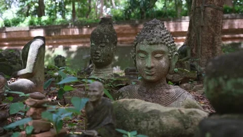 Broken of buddha statue head in forest at Wat Umong Chiang Mai Stockbeeldmateriaal 248666136
