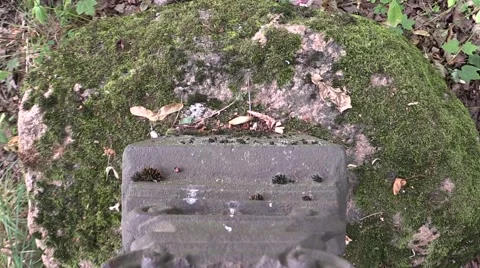 Broken cemetery grave Stock Footage 59868219