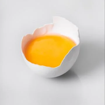 Broken chicken egg closeup Stock Photos