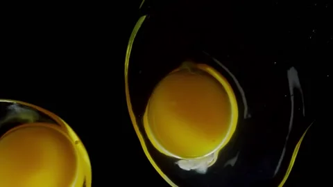 A broken chicken egg falls in slow motion. Footage shot on a black isolated Stock Footage 148507270