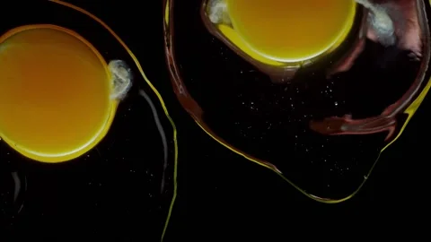 A broken chicken egg falls in slow motion. Footage shot on a black isolated Stock Footage 148555922