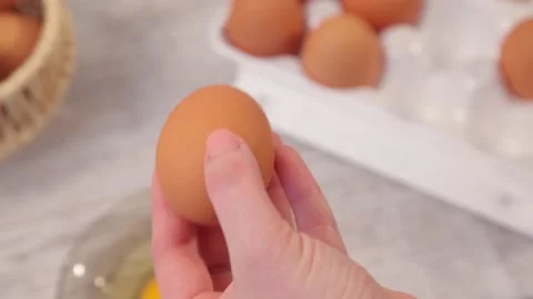 BROKEN CHICKEN EGG Stock Footage 155411642