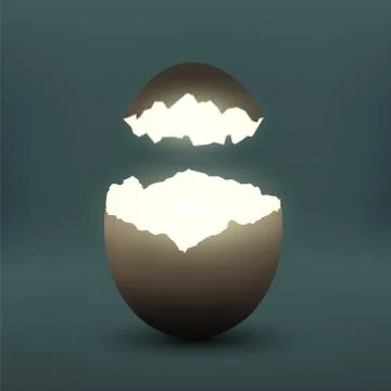 Broken chicken egg Stock-Illustration