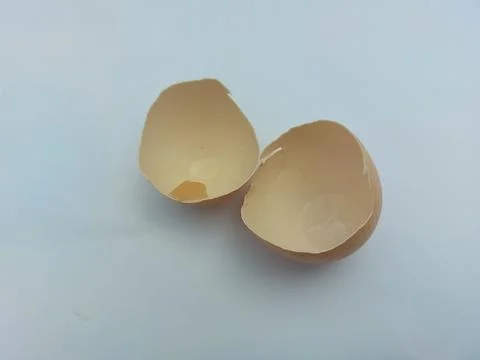 Broken chicken egg shell splits into two. Foto stock