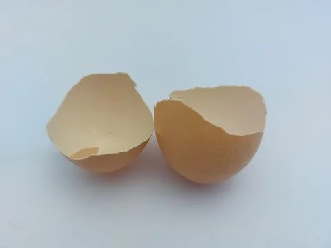 Broken chicken egg shell splits into two. Stock Photos