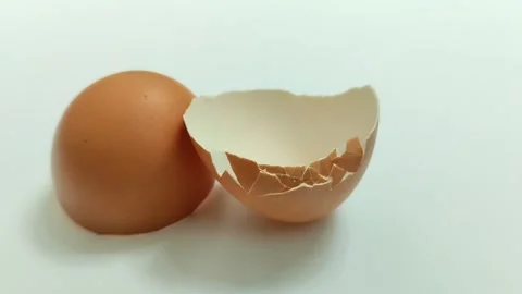 Broken chicken egg shell on white background Stock Footage 309979130