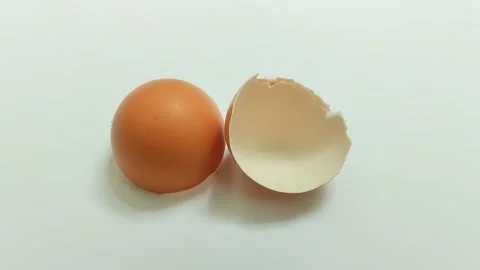 Broken chicken egg shell on white background Stockbeeldmateriaal 309979155