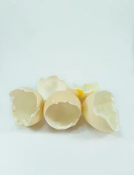 Broken chicken egg shells Stock Photos