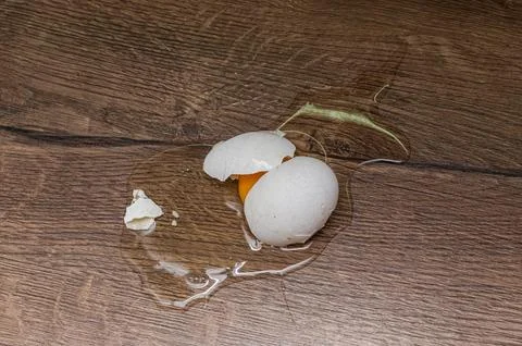 Broken chicken egg on the table	 Stock Photos