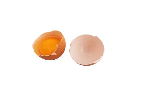 Broken chicken egg on a white background. Stock Photos