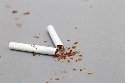 Broken cigarette on gray background close. stop smoking concept Photos