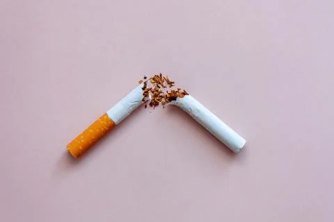 Broken cigarette on pink background Stock Photos