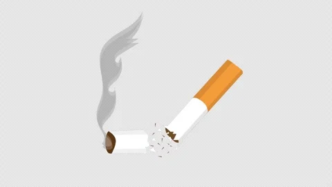 Broken Cigarette Quit Smoking Concept Animation Stock Footage 324070332