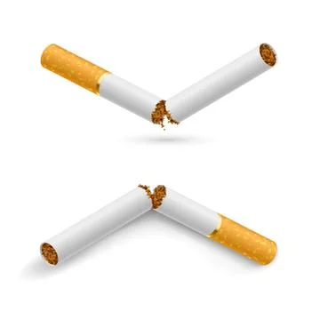 Broken Cigarettes Stock Illustration