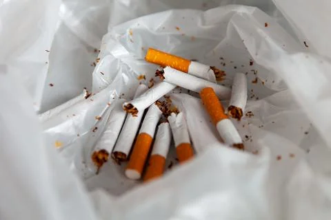 Broken cigarettes in a trash bag, close-up. Smoking cessation concept Stock Photos