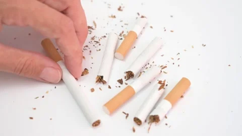 Broken Cigarettes on White Background with Tobacco Spread Stock Footage 335191963