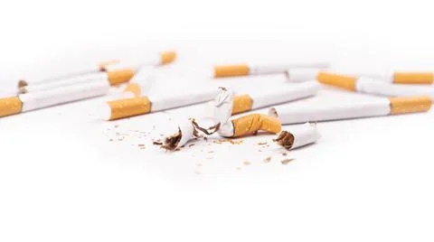 Broken cigarettes on white background,harm of smoking Stock Photos