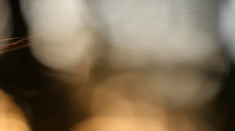 Broken cobweb moving in the wind 스톡 동영상 68094572