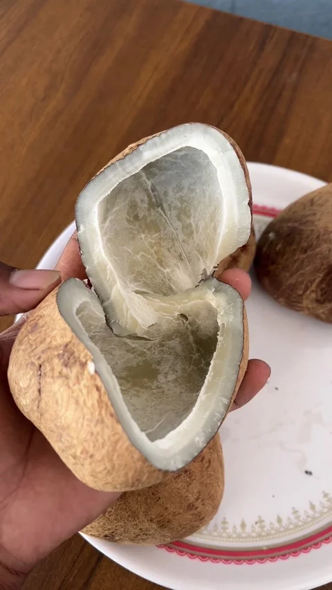 Broken Coconut Half Held in Hand Close-Up Stock Footage 323271182