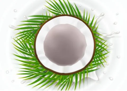 Broken coconut in milk splash Illustrazione stock