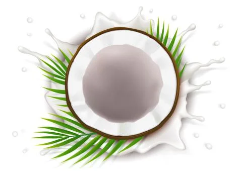 Broken coconut in milk splash Illustrazione stock