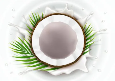 Broken coconut in milk splash Stock Illustration