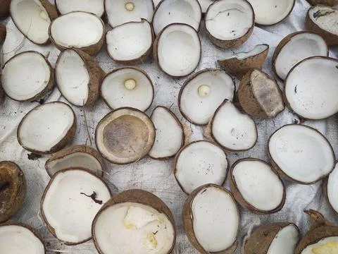 Broken coconut Stock Photos