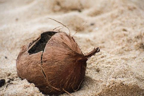 Broken Coconut Shell Stock Photos