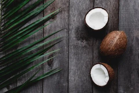 Broken coconuts on gray wooden background with palm leaf. White coconut pulp Stock Photos