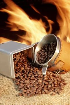 Broken coffee beans  Stock Photos