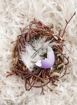 Broken colored egg shell in a nest Stock Photos