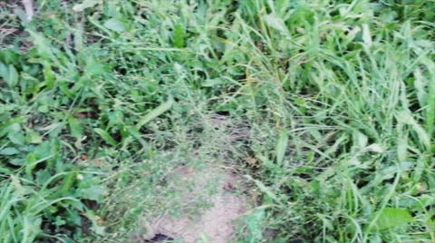 Broken computer on the grass Stock Footage 68616651