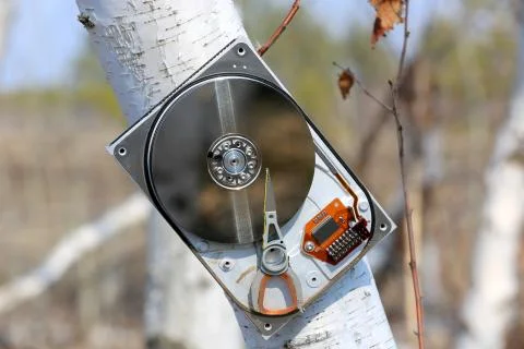 Broken computer hard drive on birch tree Foto stock