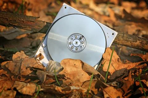 Broken computer hard drive in forest Stock Photos