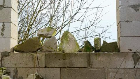 Broken concrete blocks and bricks on tree branches background. Construction d Stock Photos