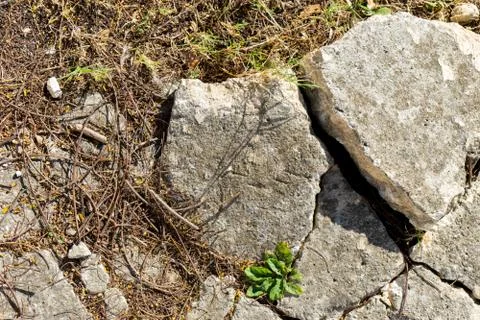 Broken concrete Stock Photos