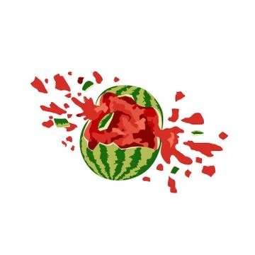 Broken crashed smashed watermelon on white background. Vector cracked melon Stock Illustration