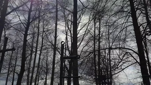 A broken cross in the cemetery Stock Footage 210035899