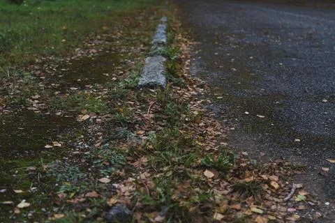 A broken curb on an old paved road. A road sprinkled with dry leaves Stock Photos