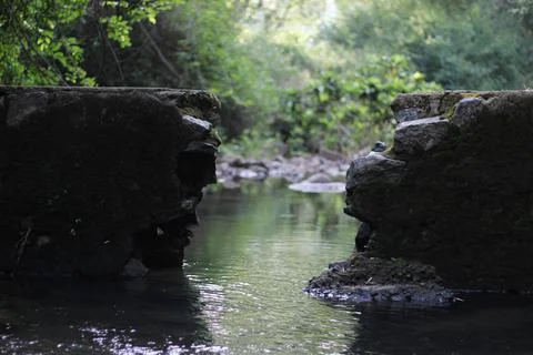 Broken dam in deep forest for animals drinking water Stock Photos