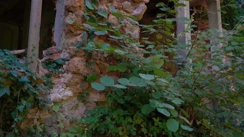 Broken damaged and rotten old villa in countryside area Stock Footage 171591146