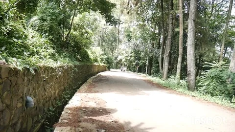The broken down motorbike Stock Footage 223691893